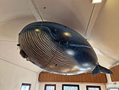 Whale-Blimp